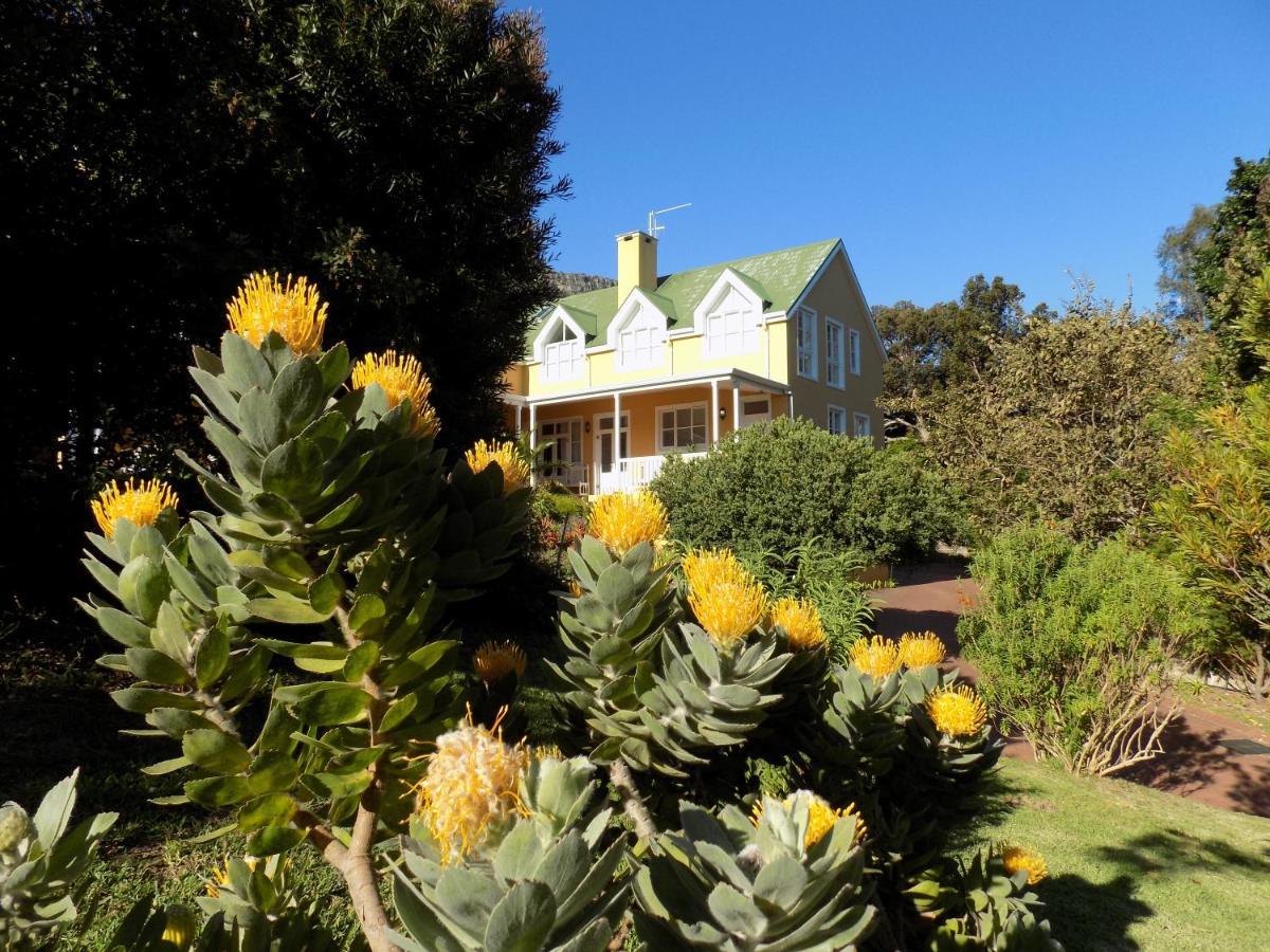 Villa La Paz Hout Bay Kültér fotó